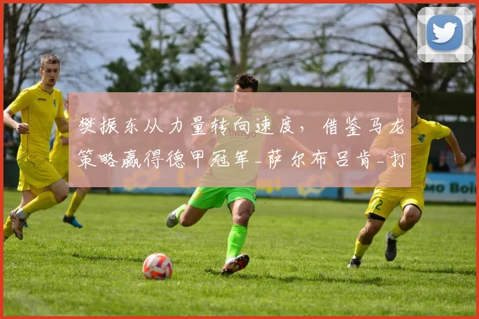 樊振东从力量转向速度，借鉴马龙策略赢得德甲冠军_萨尔布吕肯_打法_欧冠