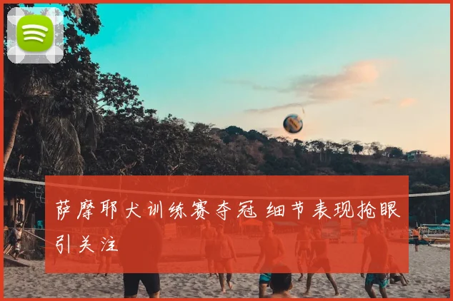 萨摩耶犬训练赛夺冠 细节表现抢眼引关注