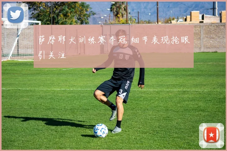 萨摩耶犬训练赛夺冠 细节表现抢眼引关注