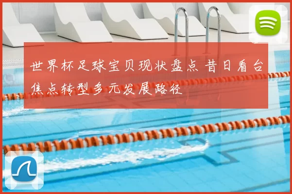 世界杯足球宝贝现状盘点 昔日看台焦点转型多元发展路径