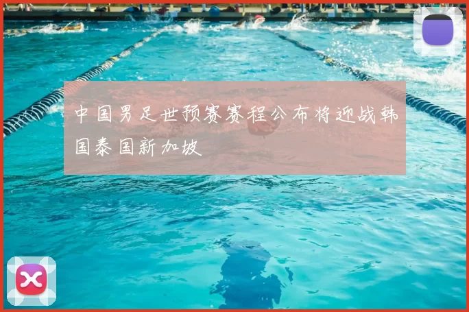 中国男足世预赛赛程公布将迎战韩国泰国新加坡